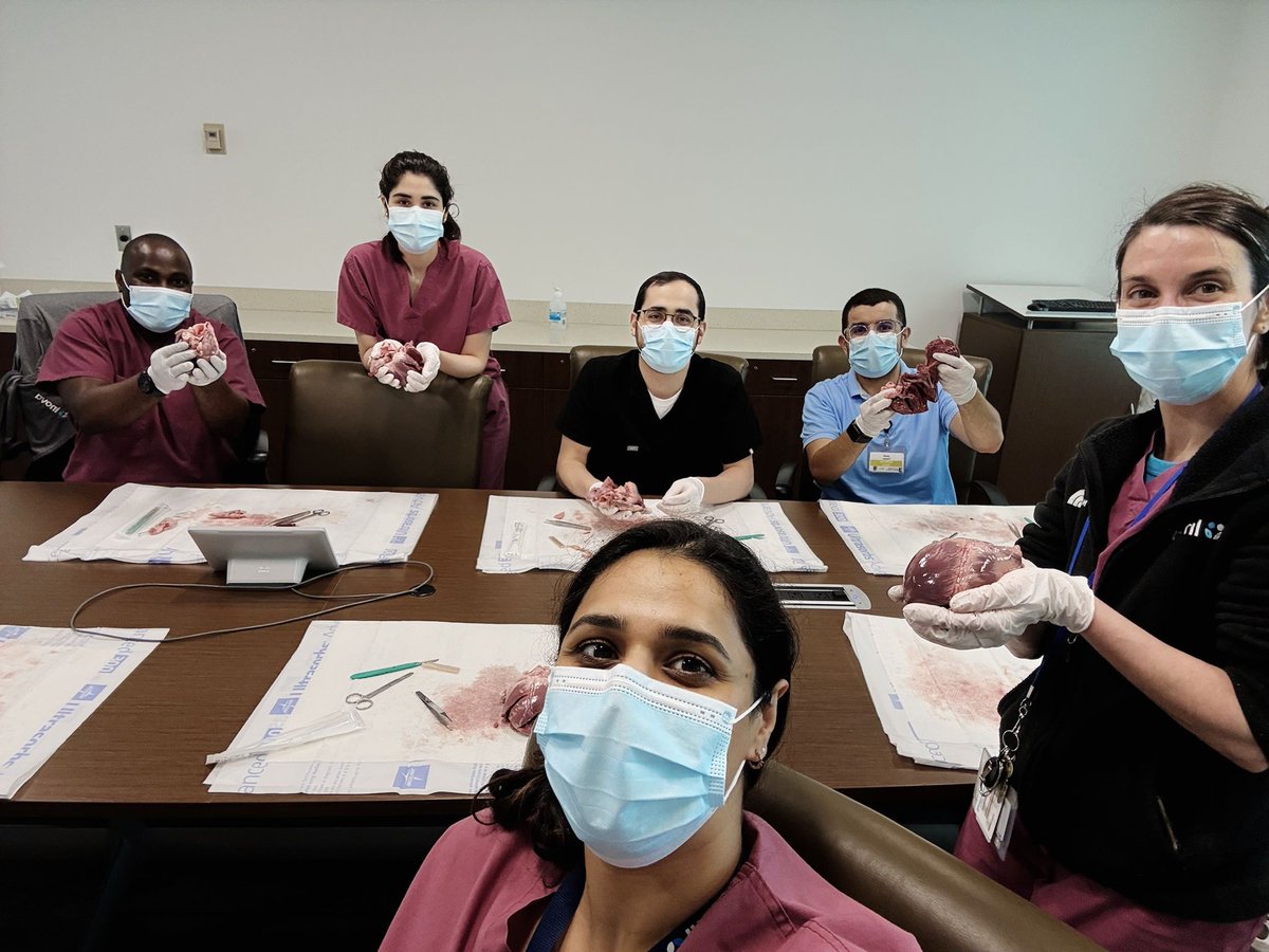 InovaCVfellows's tweet image. An excellent workshop with heart dissection to learn the intricacies of cardiac anatomy from Dr. Singh, one of our excellent cardiothoracic surgeons