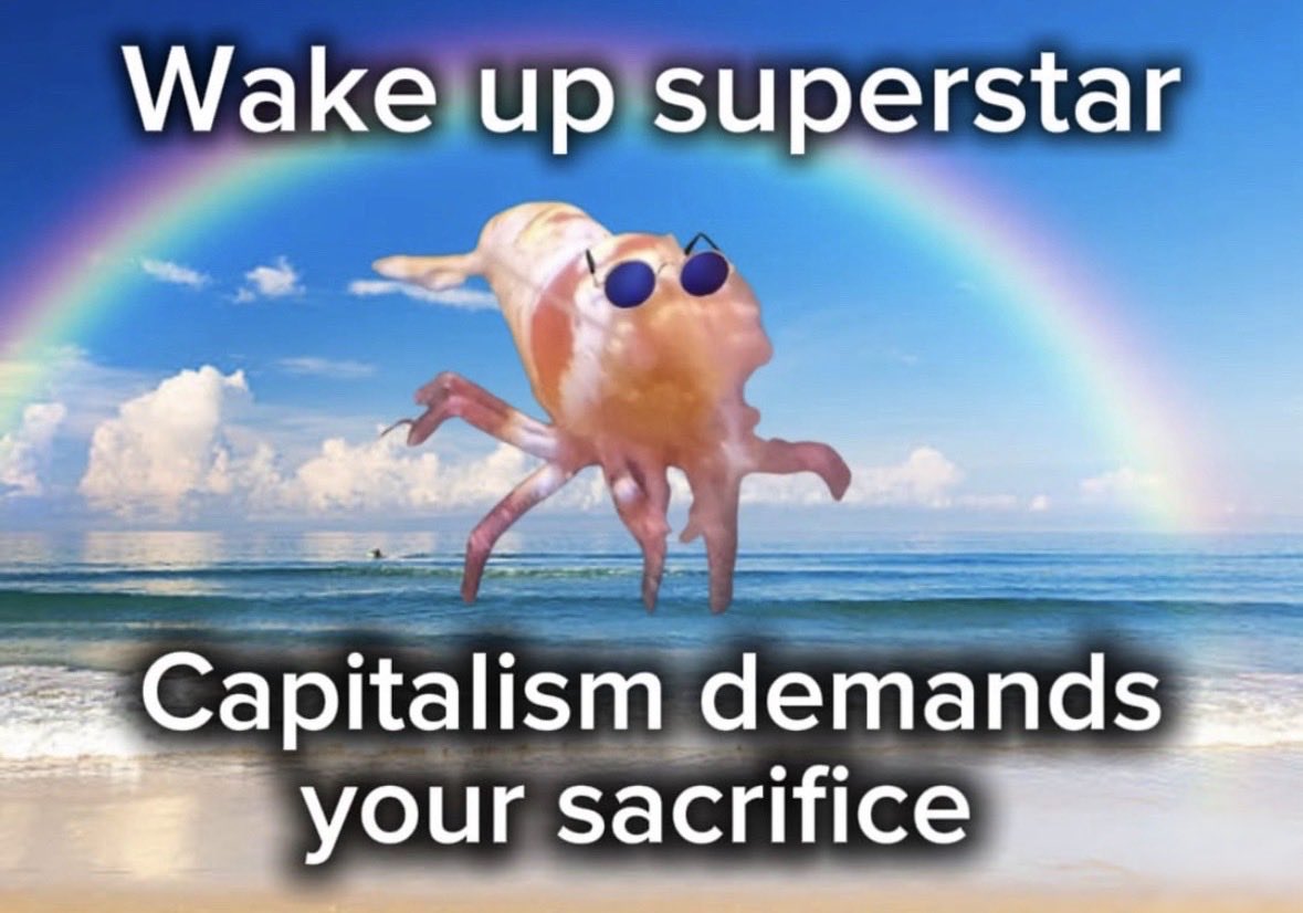 raccoonesthetic's tweet image. 