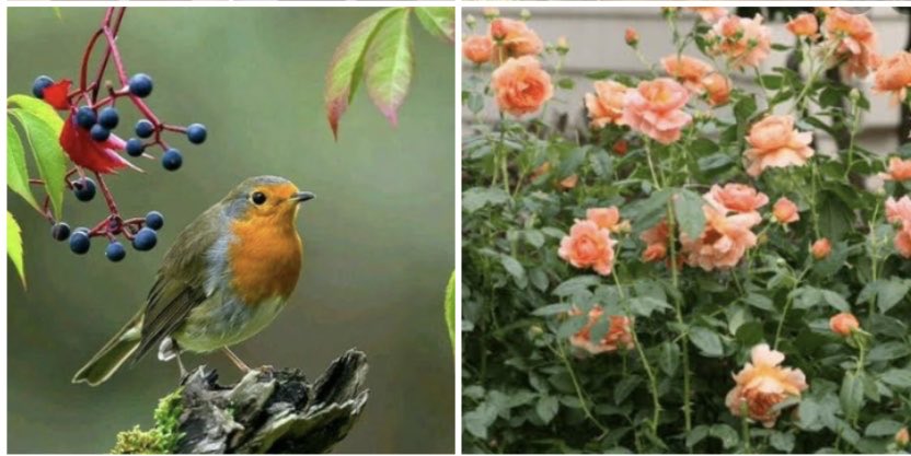 FARSÇA KOLAY BEYİTLER-380

چه نیکبخت کسانی که با تو همسخنند
مرا  نه  زهرهٔ  گفت  و نه صبر خاموشی
(سعدی شیرازی، غزل ۵۸۵)