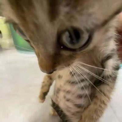 techzztft's tweet image. #NovaFotoDePerfil