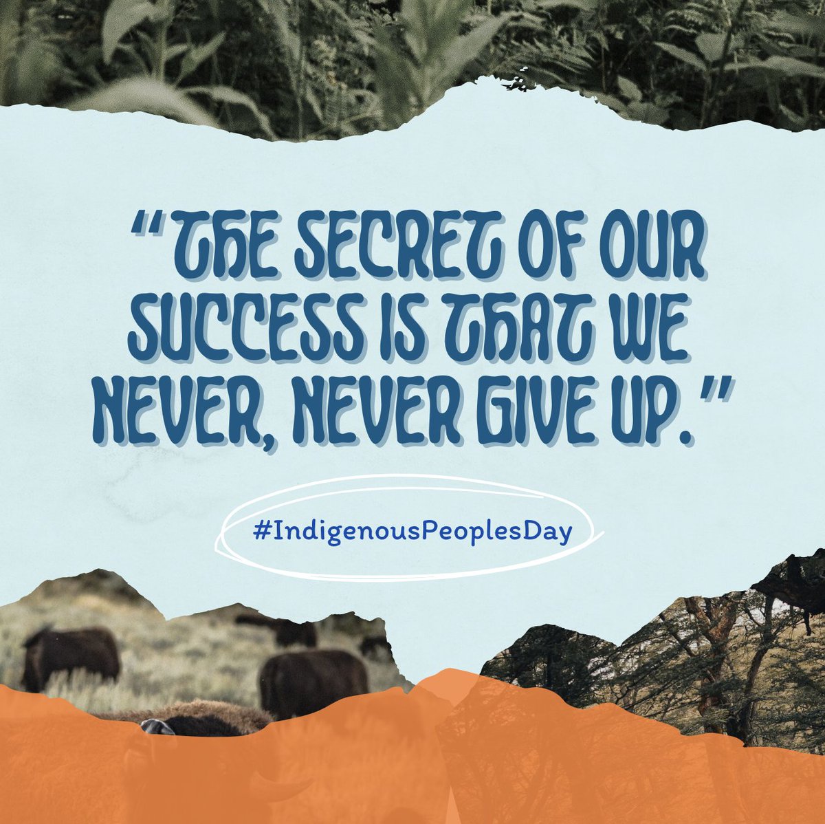 Celebrating resilience &amp; heritage this #IndigenousPeoplesDay 🌎