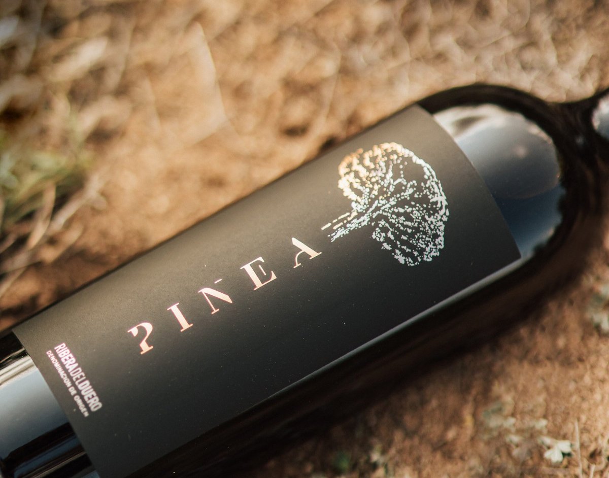 marat1's tweet photo. Pinea. Ribera del Duero.

Tempranillo at lunch. Tempranillo at siesta. Tempranillo at midnight. Spain doesn’t drink wine like a treat. It drinks it like oxygen.

Here, wine isn’t a beverage. It’s a tradition.
#Writer #Travel #Storyteller #Spain #Wine #RiberaDelDuero #Pinea https://t.co/sMmdewHPhz