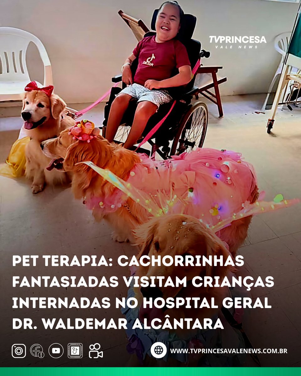 tv_princesa's tweet photo. PET TERAPIA: CACHORRINHAS FANTASIADAS VISITAM CRIAN��AS INTERNADAS NO HOSPITAL GERAL DR. WALDEMAR ALCÂNTARA

Pacientes do HGWA recebem a visita dos pets terapêuticos em ação que promove bem-estar e humanização no cuidado hospitalar.  Leia mais https://t.co/UY7A21C12d https://t.co/ZYCFQ8t2gv