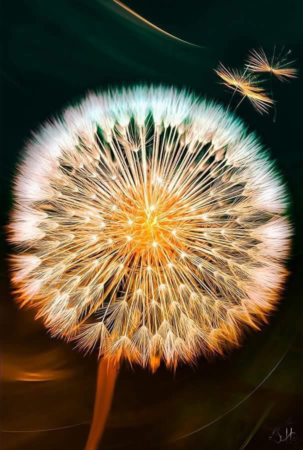 Franz Kafka
1883 - 1924

Die Träumenden und die Wünschenden
halten den feineren Stoff des Lebens in den Händen.