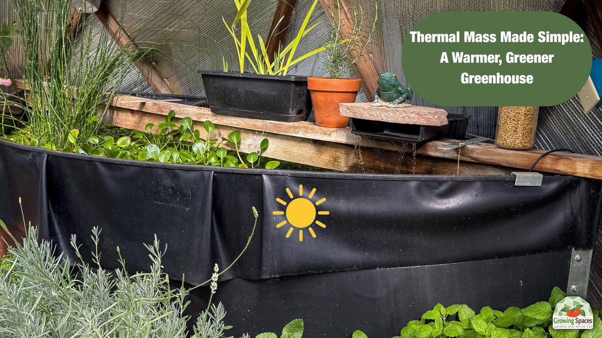 The Dome pond is a glorified solar-powered water bed. Too lazy to heat itself up all the way, it stores the sun's excess heat all day, then goes, "Fine, have some warmth" all night. Save the tomatoes!🍅 growingspaces.com/blog/thermal-m…  #ThermalMass #GrowingSpaces