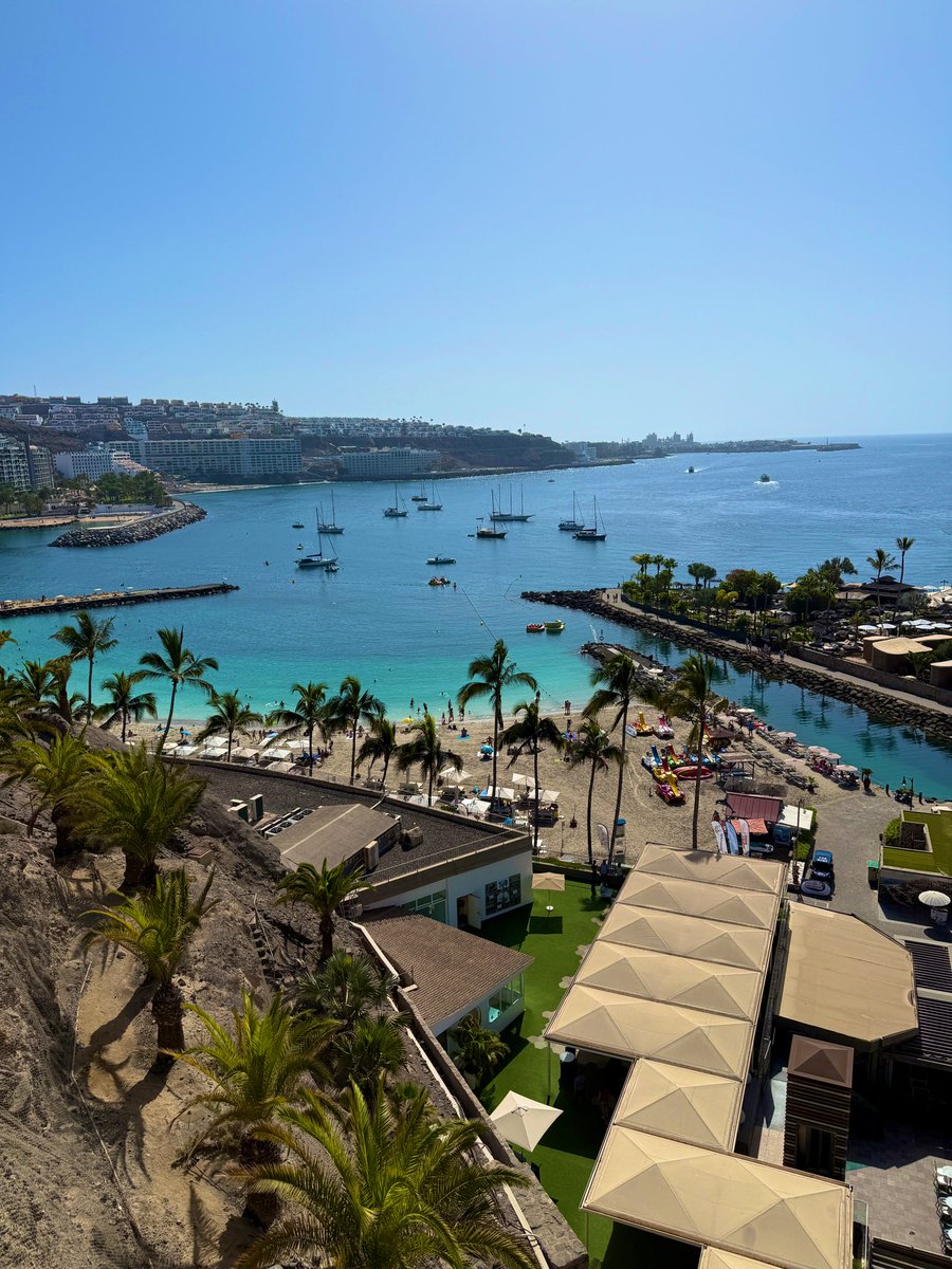 FPL Focal tweet media