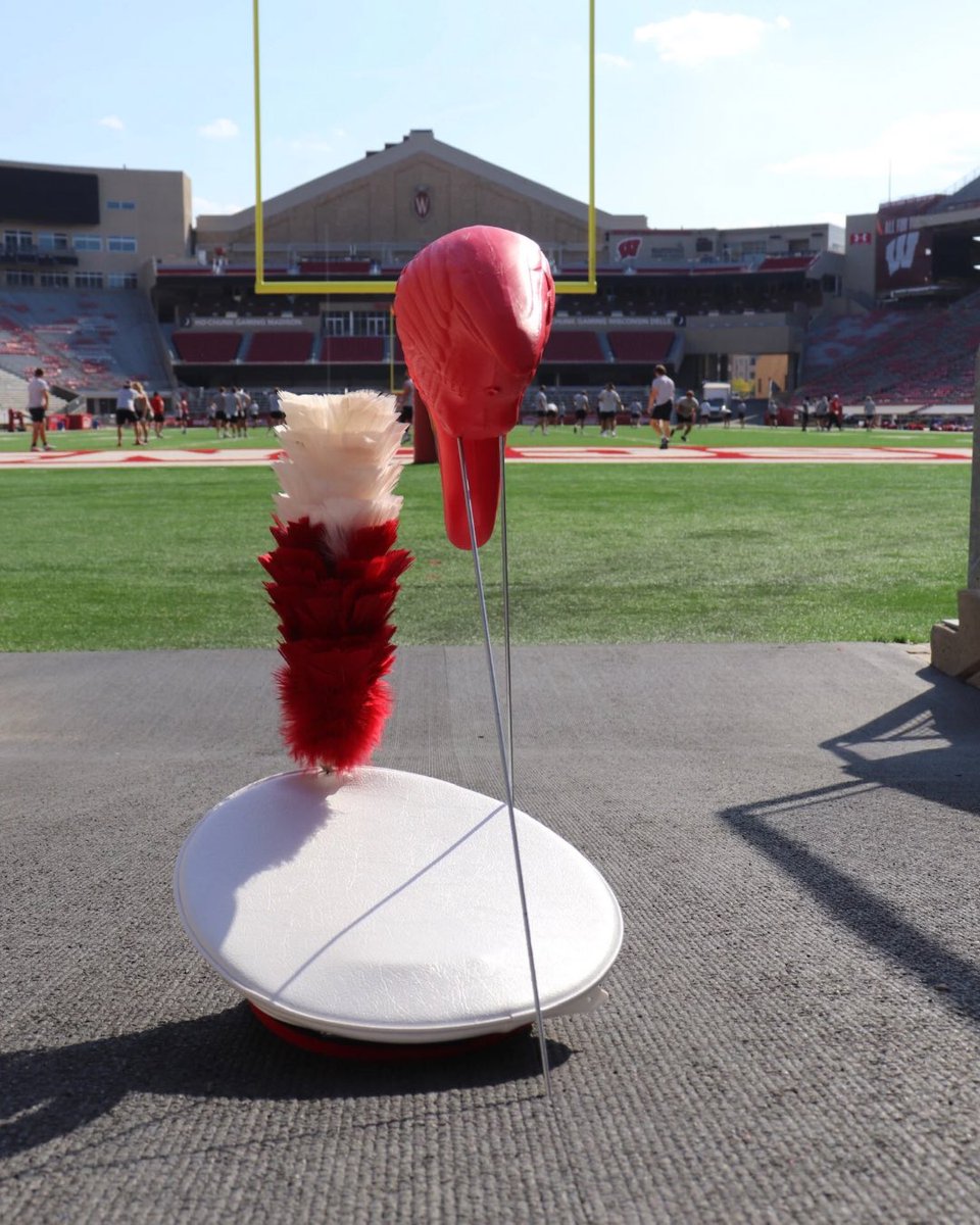 The flamingos are ready to march! 🦩 Fill the Hill Oct 9 at 5 pm to Oct 10 at 5 pm. Every gift keeps the UW Marching Band marching strong.

Donate 👉 uwflamingos.com/campaign/march…

#FillTheHill #UWFlamingos #EatARock #OnWisconsin