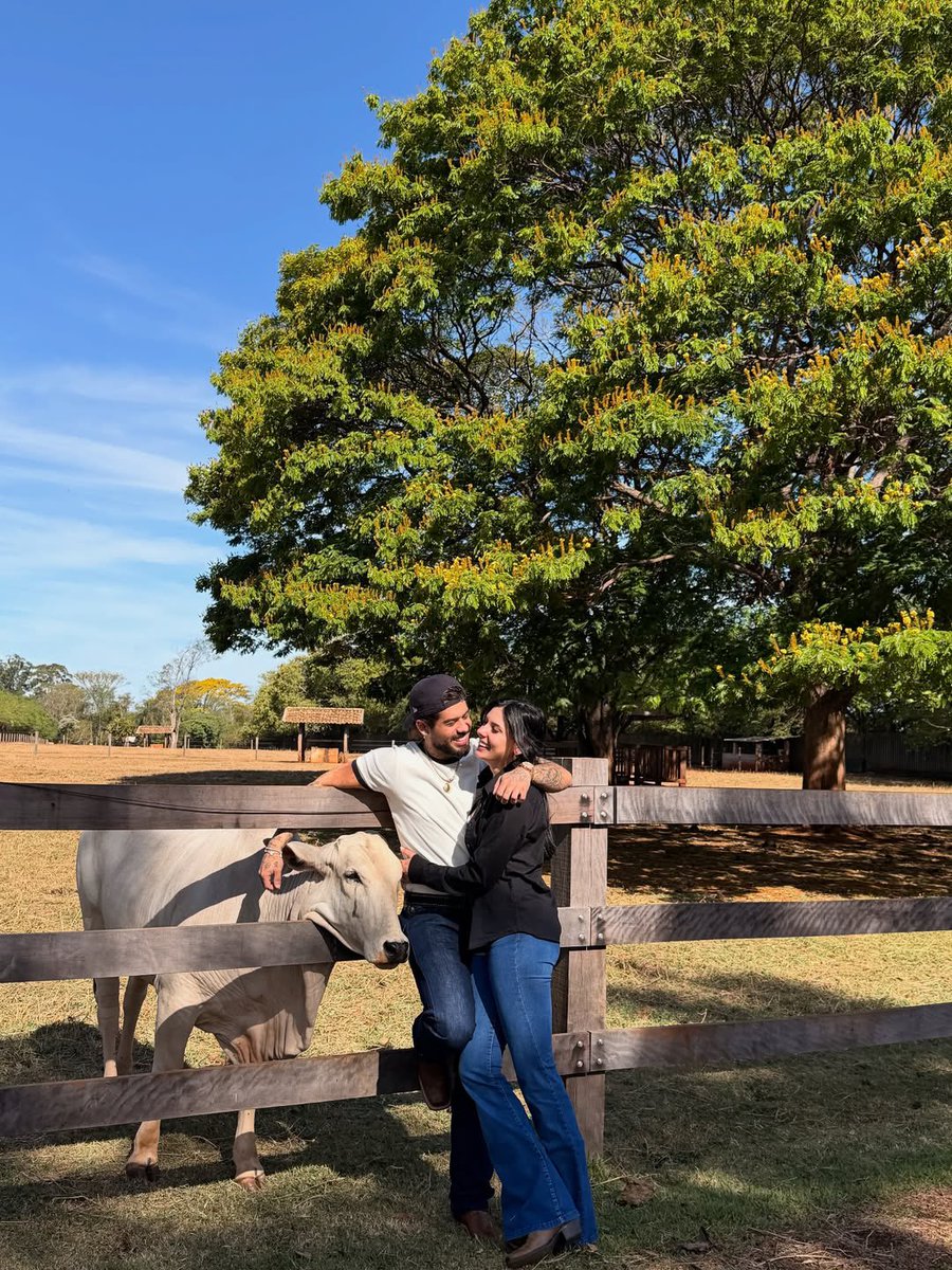 Hugo Gloss tweet media