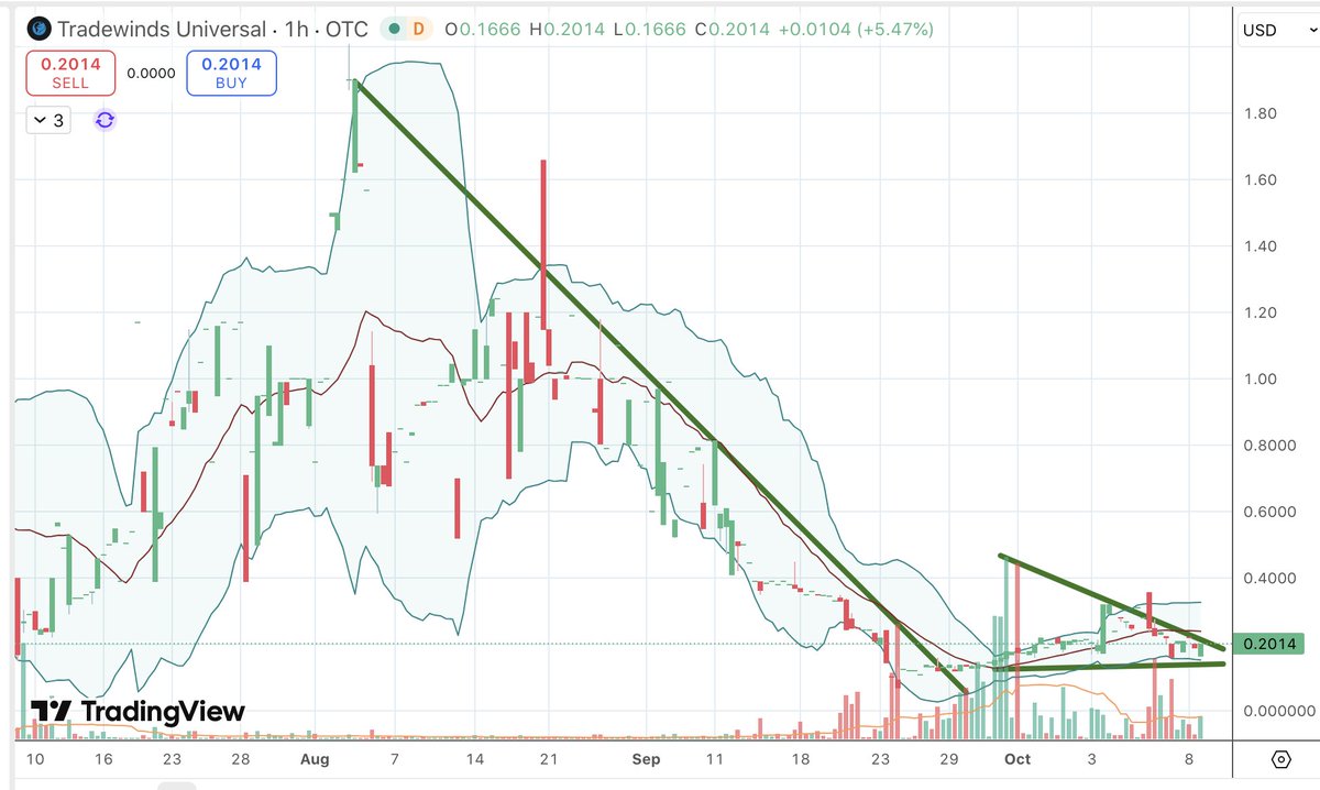 Hedgehog Trader 🦔 tweet media