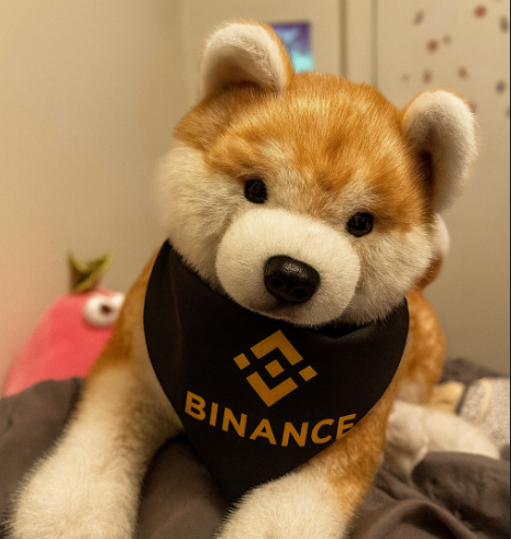 fifibnb1's tweet photo. Thanks @cz_binance for the gift! It's so great to finally meet you. I named him Zhao in your honor.

谢谢  的礼物！终于见到你了，真是太好了，为了纪念你，我给他取名为赵。 https://t.co/ZWkJlptnve