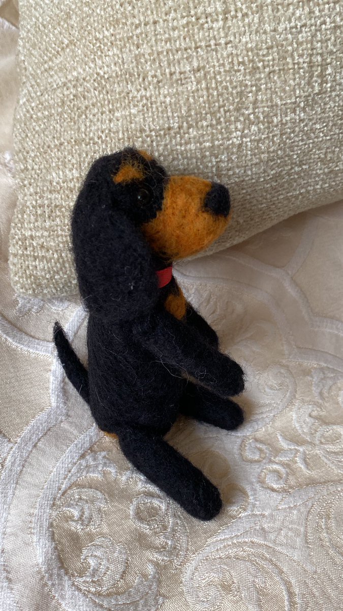 StephCowburn's tweet image. This mini dachshund is available at £30 which includes p&amp;amp;p within the Uk… message me if you can give him a home. X #wednesdaythought  #handmadehour #dogsoftwitter #dachshund