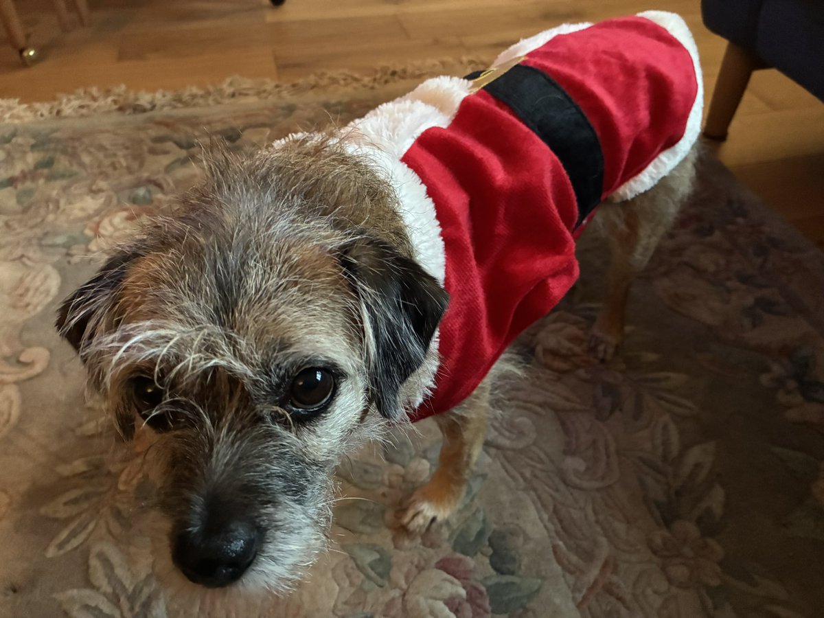 Ma Scotland strip is in the wash 😬 🤶