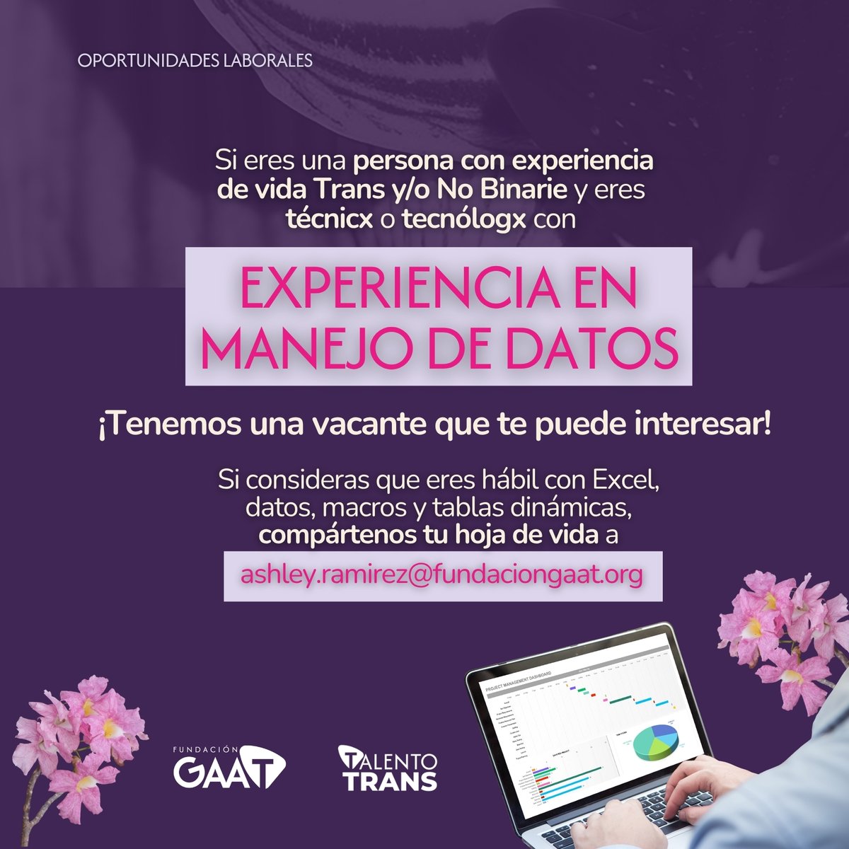 ¿Cómo te va con el manejo de Excel, datos y tablas dinámicas?🤔

Si eres una persona Trans o no binaria🏳️‍⚧️ con experiencia en este campo y una formación como técnicx o tecnólogx, ¡envía tu hoja de vida al banco de perfiles de #TalentoTrans!
⏳Plazo: jueves 9 de octubre de 2025