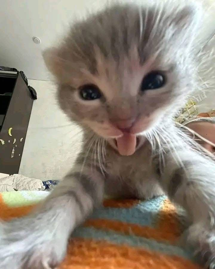 é tão bom conversar com quem tem o mesmo humor do que a gente