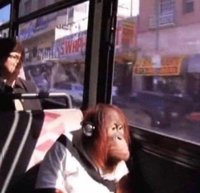 No tenía internet hoy de mañana vine todo el viaje en el bondi así mirando las ofertas del barrio de los judíos.