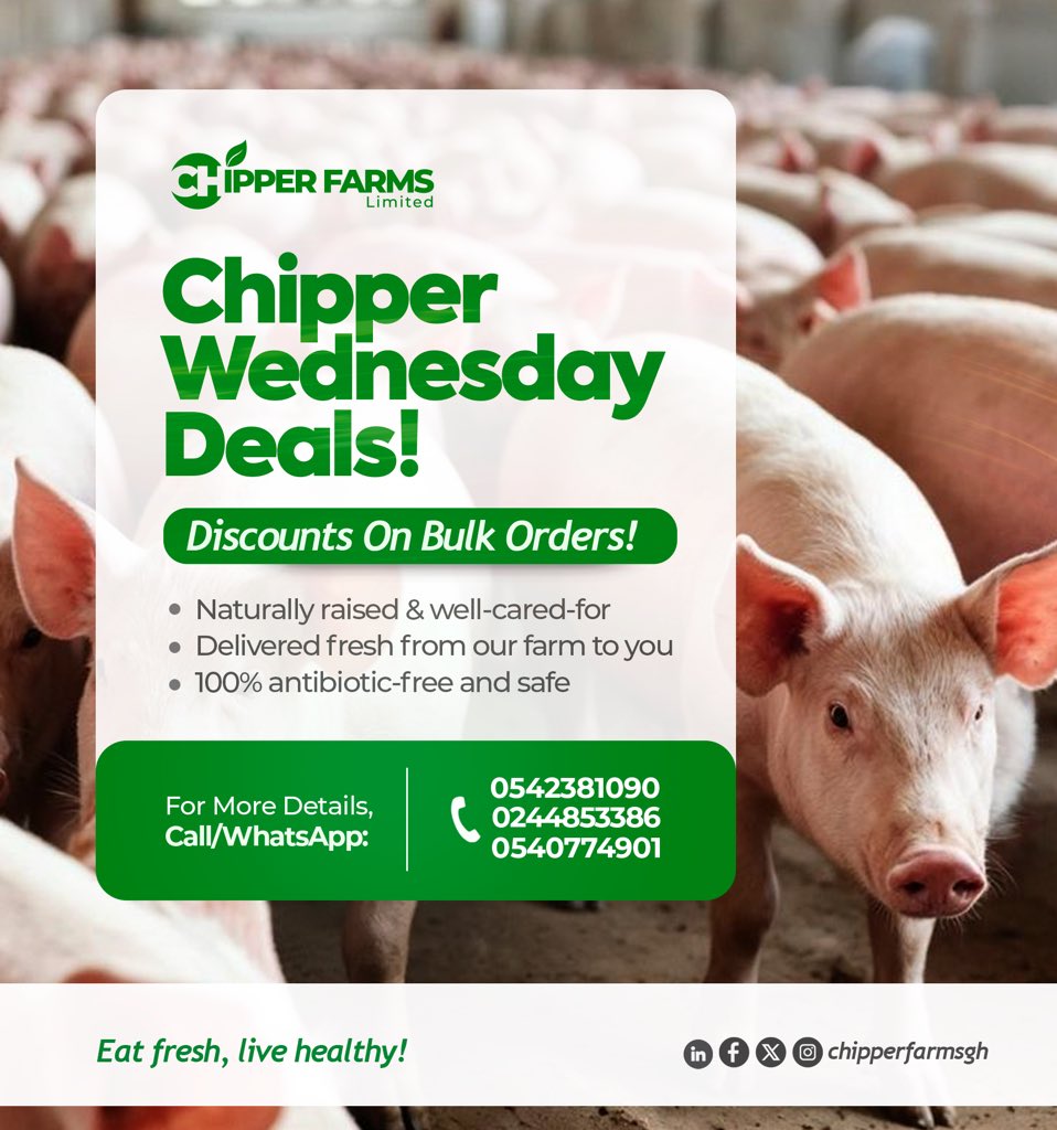 chipperfarmsgh's tweet photo. Are you a hotel, meat processor, wholesaler, or organization looking for premium, farm-fresh pigs? 

This is your perfect opportunity to buy in bulk and save big!

Secure your stock, freshness and quality guaranteed! 

Call/WhatsApp: 0542381090 | 0244853386

#Chipperfarms https://t.co/vnq5Hd9AhW