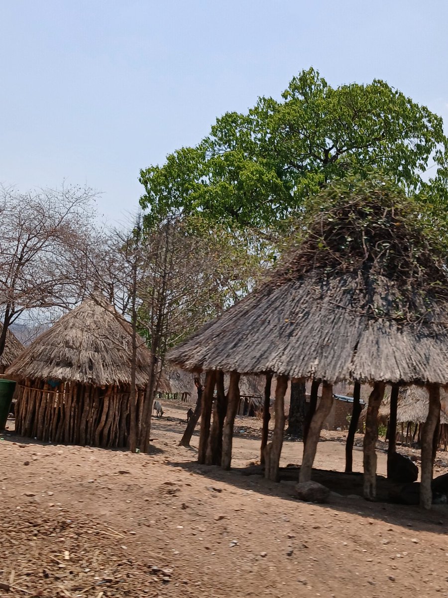 Visto y no visto desde el bus: terrible el mundo rural zambiano (y por ende, el africano): miseria y abandono.