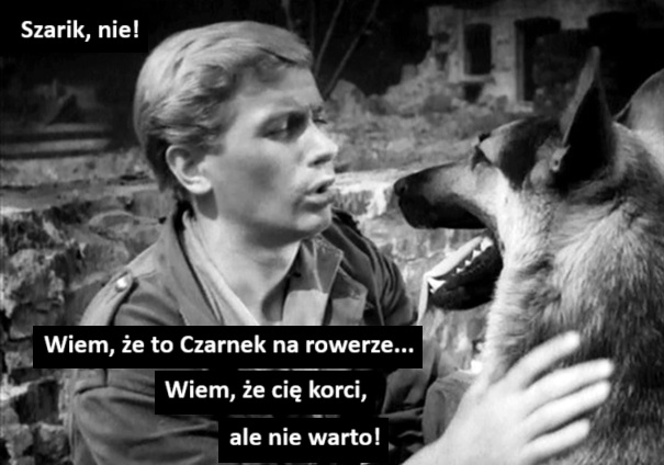 gimnastyczna's tweet photo. Czterej pancerni i pies, reż. Konrad Nałęcki, Andrzej Czekalski. https://t.co/rTkopm5alH