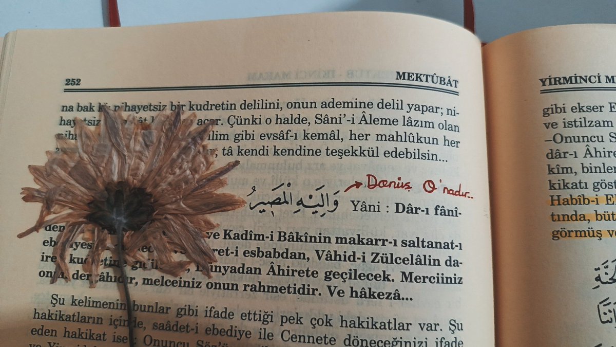 و إليه المصر🌻