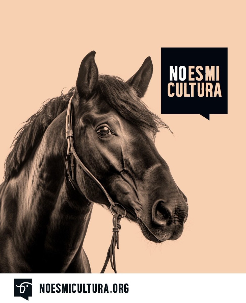 PSOE traidor a la democracia y al pueblo. <a href="/PSOE/">PSOE</a> <a href="/sanchezcastejon/">Pedro Sánchez</a>
#PedroCalló700MilVoces