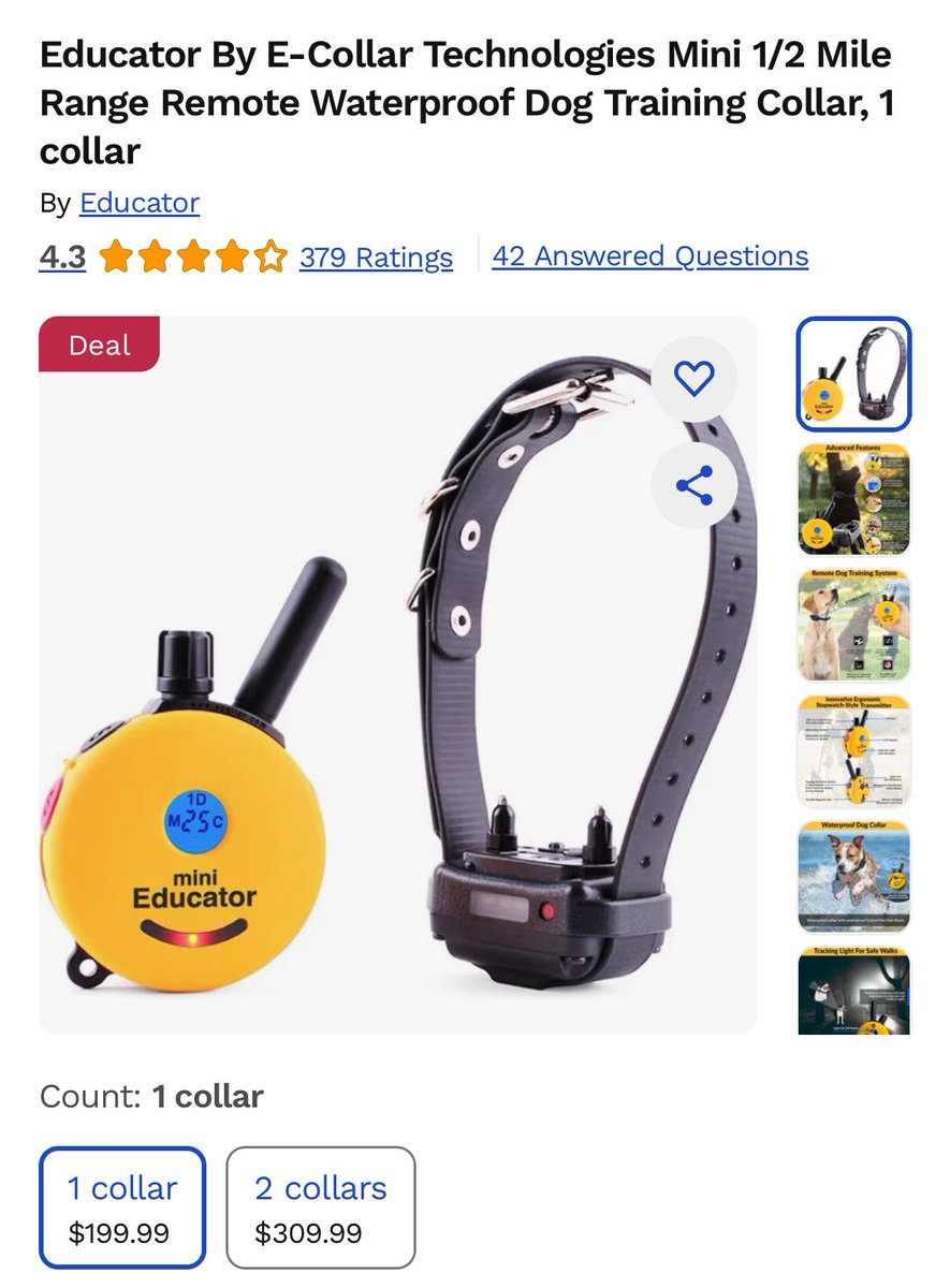 Kyle Thorsen tweet media