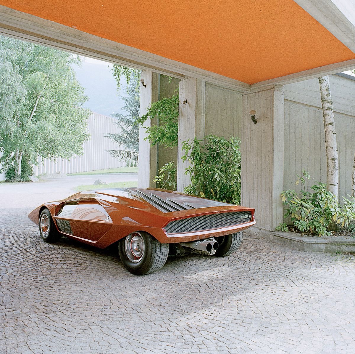 luusssso's tweet image. I must live in a certain way