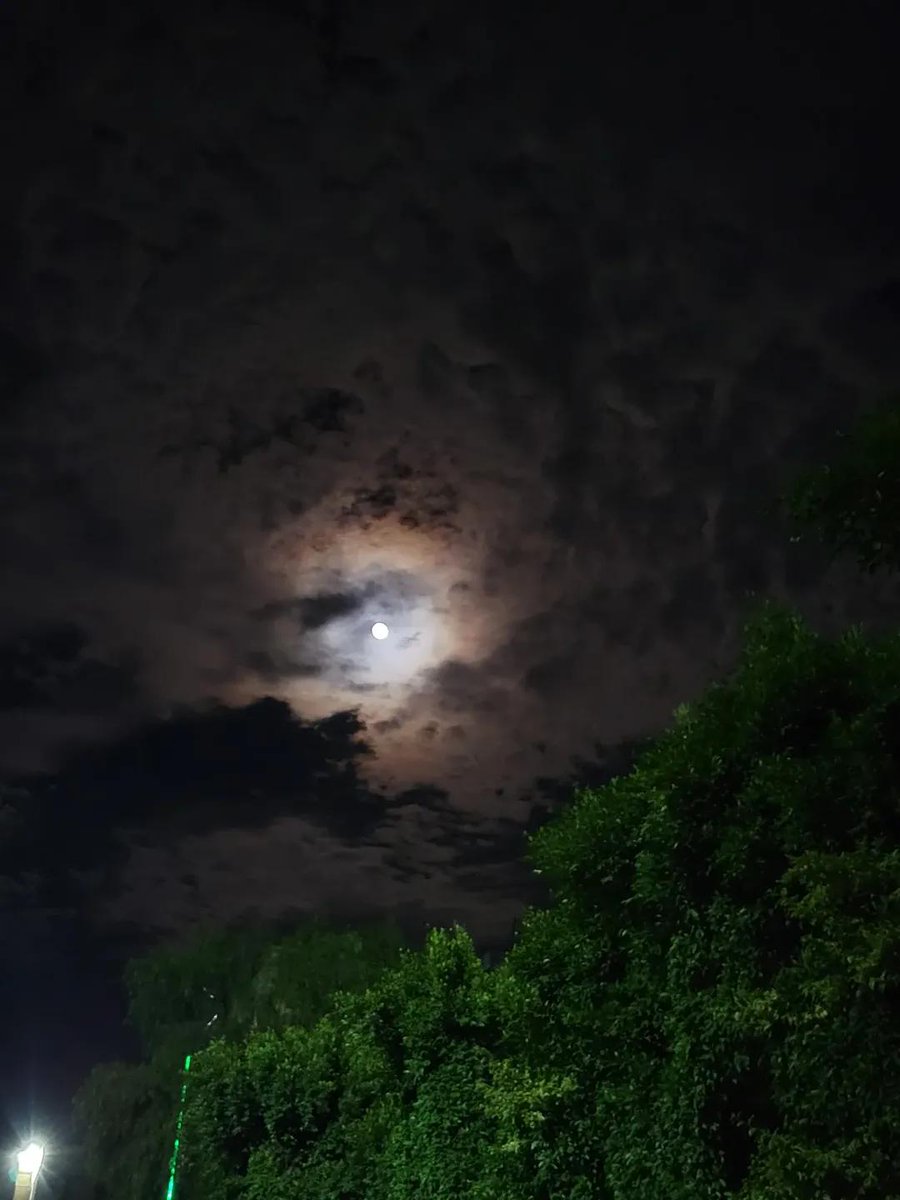 ‌
على بسّاط الليل نسري بـ الاحلام
 ونسامر نجُوم السماء بـ الاماني .