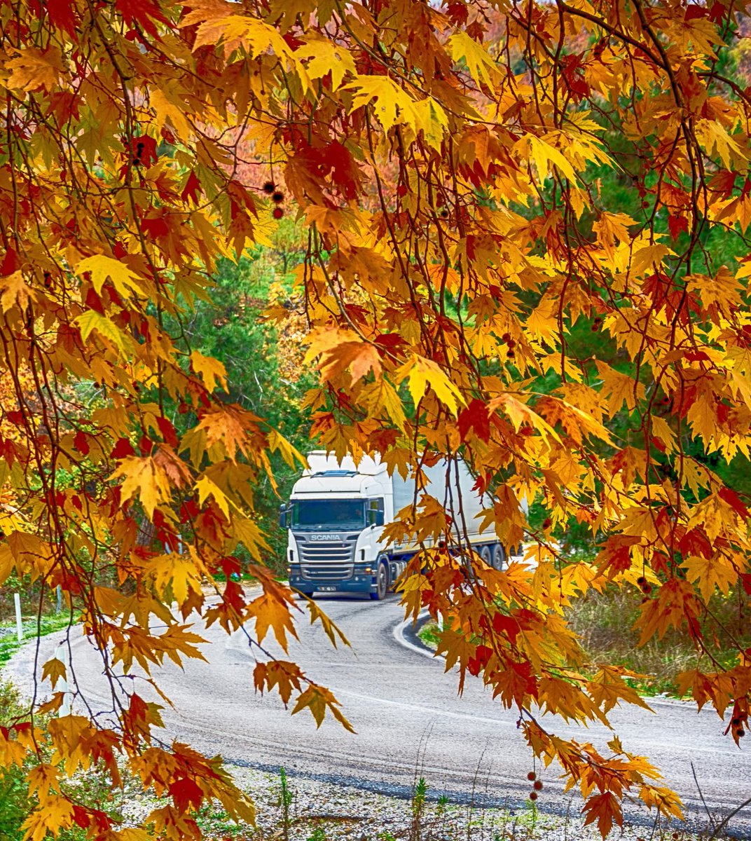 ⭐️⭐️⭐️⭐️⭐️💙💛Zafer DİKMENER 💛💙⭐️⭐️⭐️⭐️⭐️ (@zaferdikmener) on Twitter photo 