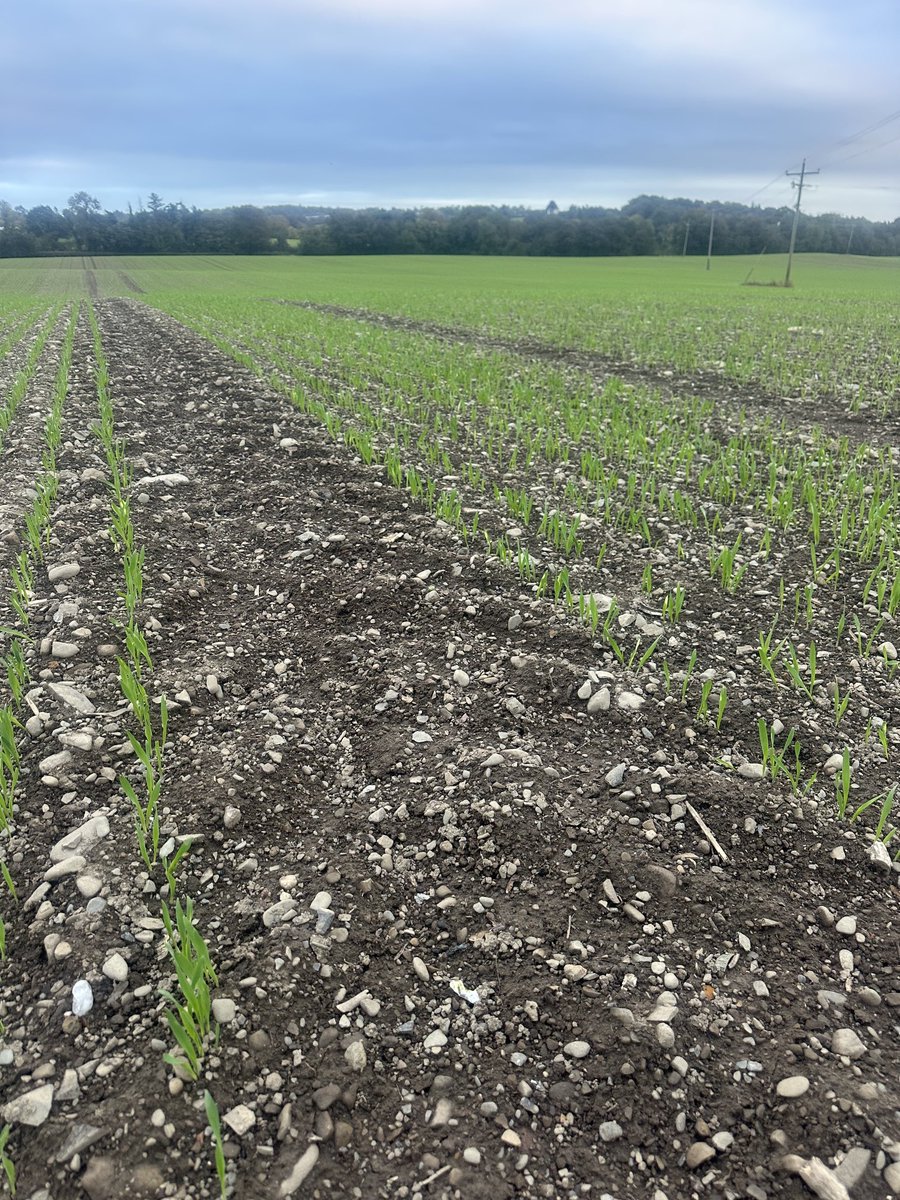 Barry Davis tweet media