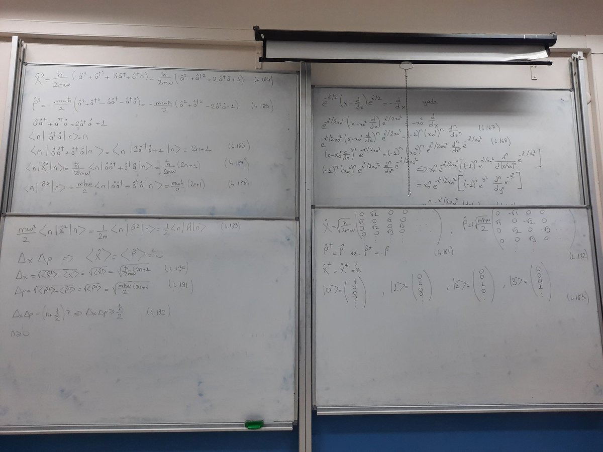 Yok biz geri planda kalmayı sindirmeyen üzerine bilim yapan kadınlar olacağız. Kuantum harmonik osilatör anlatacağız. Ayrıca integral de alacağız🤭