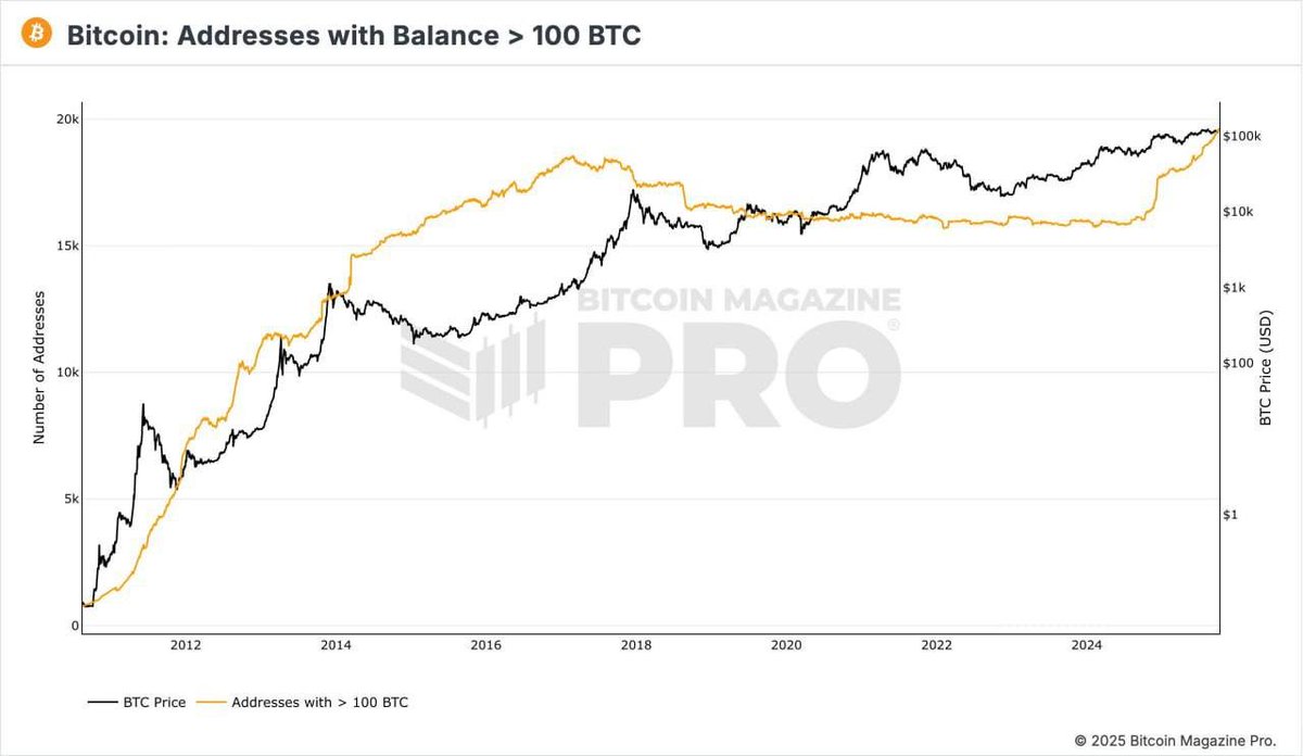 显示 2012 年到 2024 年余额超过 100 BTC 的比特币地址数量与 BTC 价格对比的图表