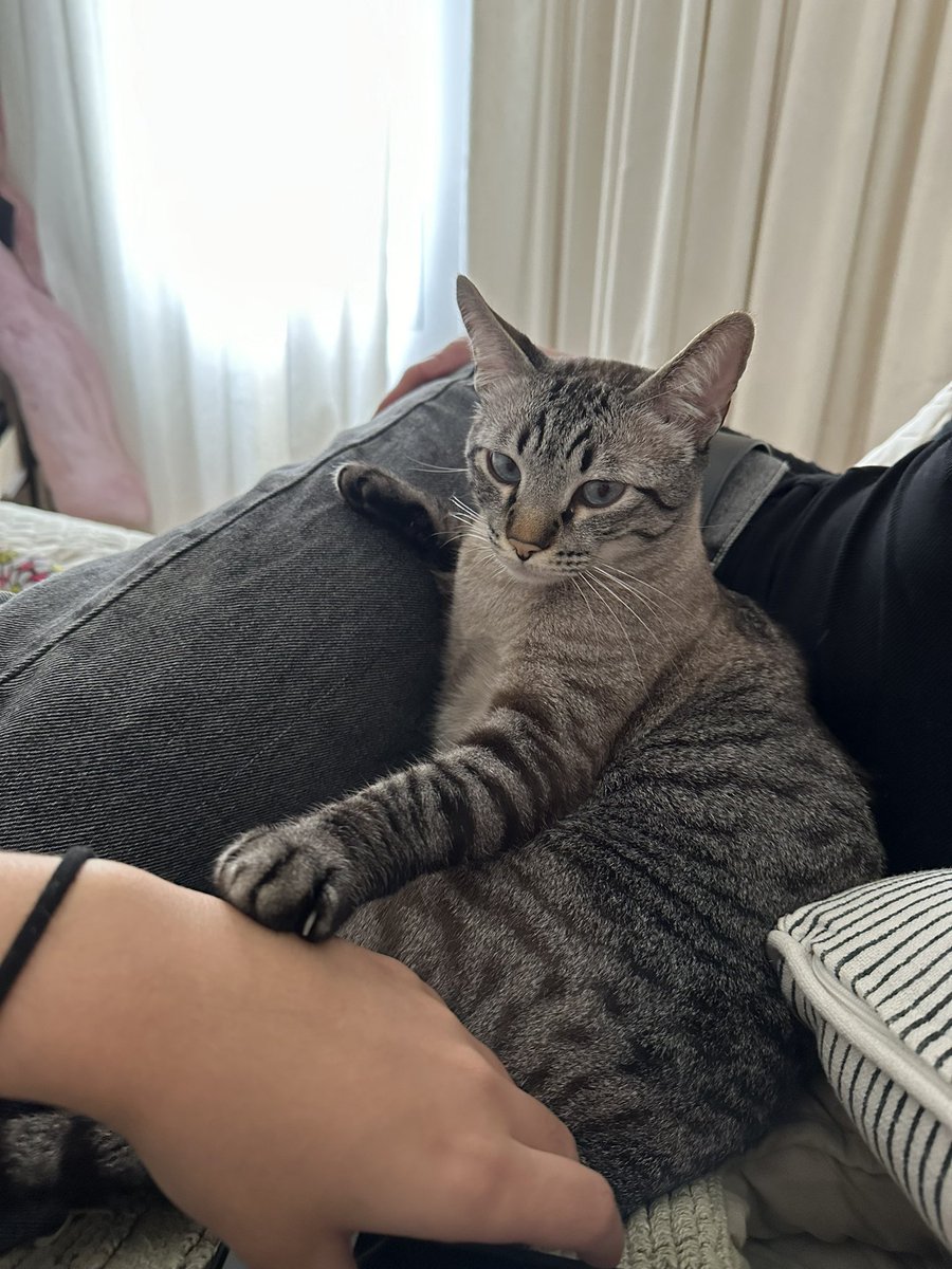 a linguagem do amor do chico sendo toque 
tem que tá em contado com as duas mães pra ser feliz