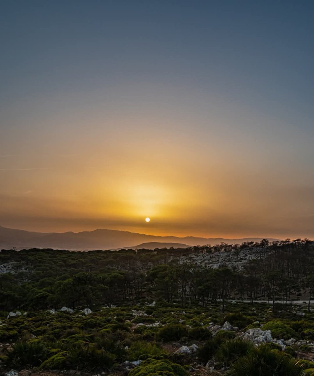 يَا شَمْسَ الغُـرُوبْ كُسِيتِ الشُّحُوبْ
بِـرَخْـيِ الحُجُـوبْ وَالاصْـفِـرَارْ

أمْـهِلْ بِالغُـرُوبْ نُفَـرِّجْ كُـرُوبْ
قُلْ لِـي كَيْـفَ نَتُوبْ عَنِ العُـقَارْ

بِاللَّـهِ لا تَـغِيبْ حَتَـى  نُقَـبِّـلْ
فِي وَجْـهِ الـمَـلِيحْ قُبْـلَة وَنُعَجِّلْ

(تراث أندلسي-نوبة الماية)