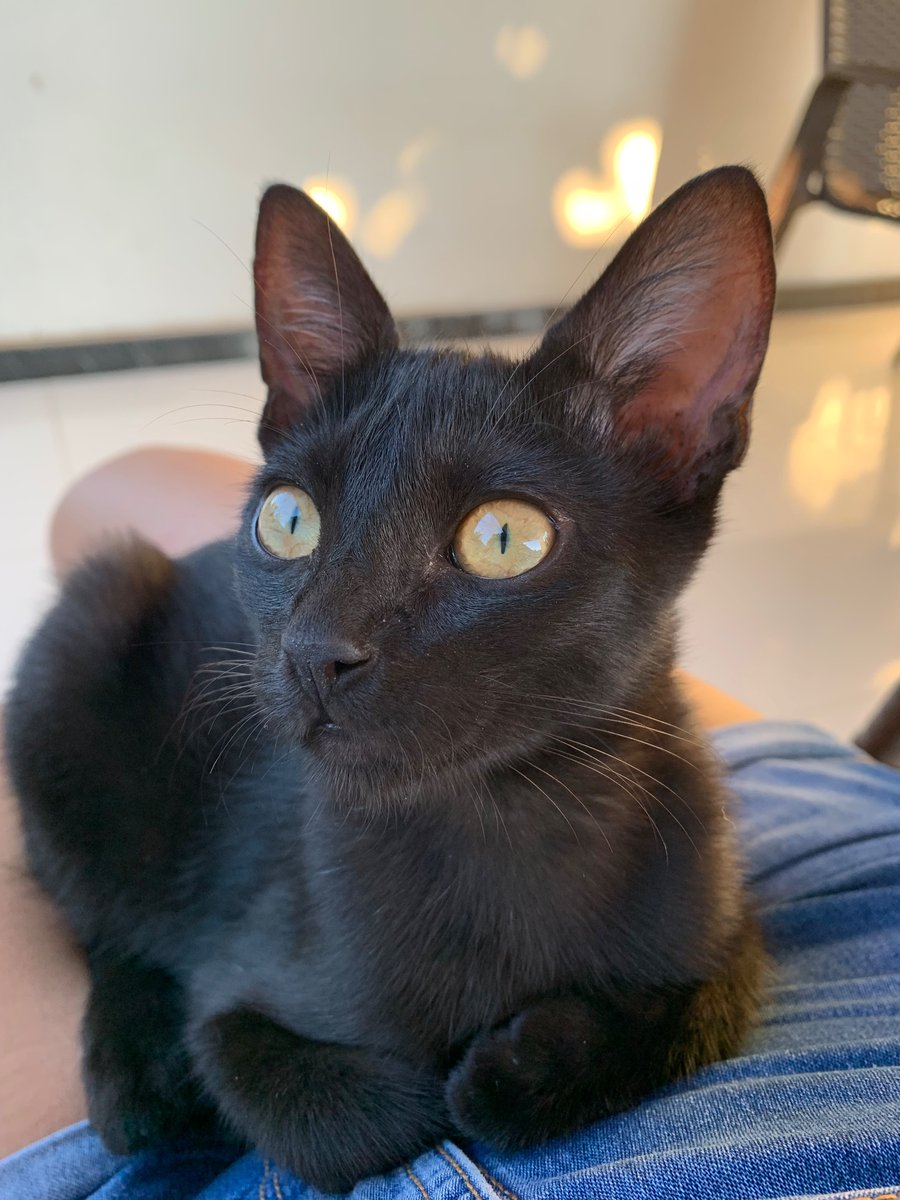 fabyollaverass's tweet image. 7 anos de azar pra quem não disser oi pra madonna