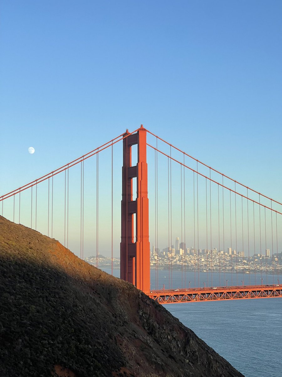 George Goodfellow tweet media