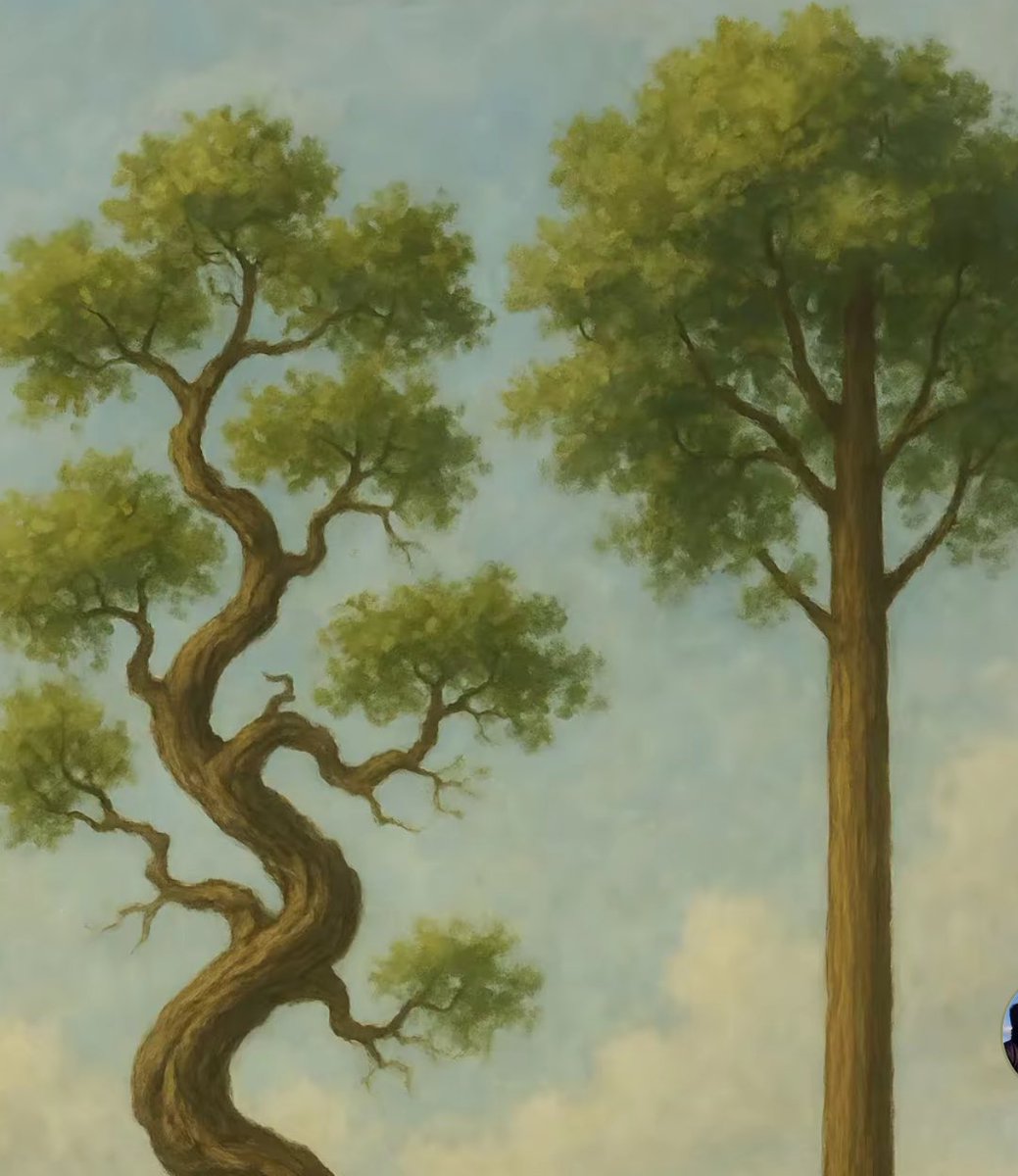 Çarpık ağaç kendi hayatını yaşar, doğru ağaç ise tahtaya dönüştürülür. (Çin atasözü)