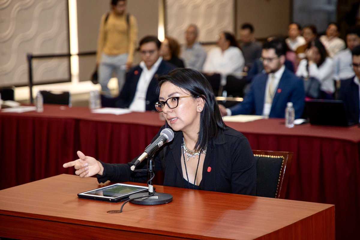 🔴Version fotógrfica de mi participacion ante la Comisión Presidencial para la Reforma Electoral, proponiendo la implementación del voto electrónico en la elección del Poder Judicial.

Aquí se puede ver la transmisión completa de la audiencia: youtube.com/live/c0sAN5c4n…?