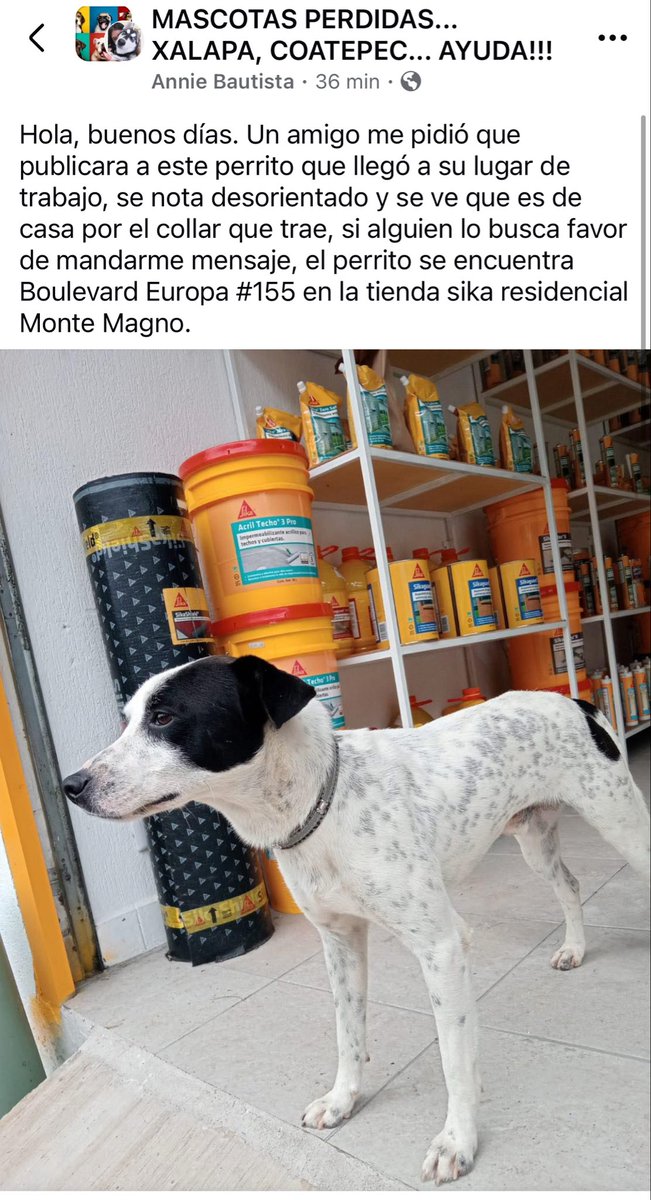 RT🐶
<a href="/mayteponm/">Mayte P.</a> <a href="/mageba04/">Gina alarcon</a> <a href="/Corintiacruz/">Corintia Cruz Oregón</a> <a href="/VialidadXalapa/">Vialidad Xalapa 🚦 VX 🌎</a> <a href="/AbelMucino/">Abel Muciño</a> <a href="/tierraverde1943/">ℓια ₊˚.༄ *ﾟ🌱</a> <a href="/pilykuera/">Pily Peregrina</a> <a href="/CECILLIA36/">CECILIA MENDEZ</a> <a href="/sara_juarez/">saraliz</a> <a href="/Ydlan/">Naldy Patricia</a> <a href="/fherciencias/">Soy Fher!</a> <a href="/camellinlove/">Porque soy xalapeño</a> <a href="/ArrezEdda/">Edda Arrez</a> <a href="/PopColorsXal/">PopCX</a> <a href="/RoxanaAAT/">Feto de PicaFresa🍓</a> <a href="/penelopemoncayo/">Penélope Moncayo.</a> <a href="/Zapatito_Azul/">Yuria Eldia Reyes</a> <a href="/sandysiux/">Sandy Colunga</a> <a href="/rociosaiz/">Rocio Saiz</a> <a href="/Pechmed/">Peter Tweet</a> <a href="/marinavera100/">Marina Vera</a> #Xalapa