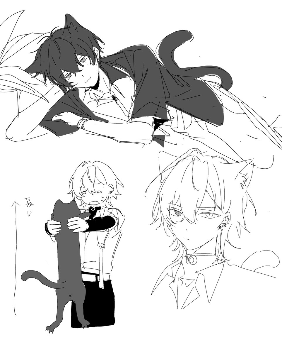 mmuider (@mmuider) on Twitter photo 