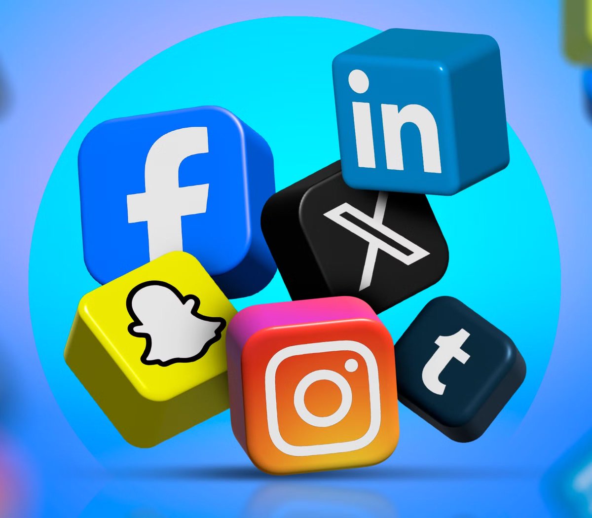 Focus tweet media