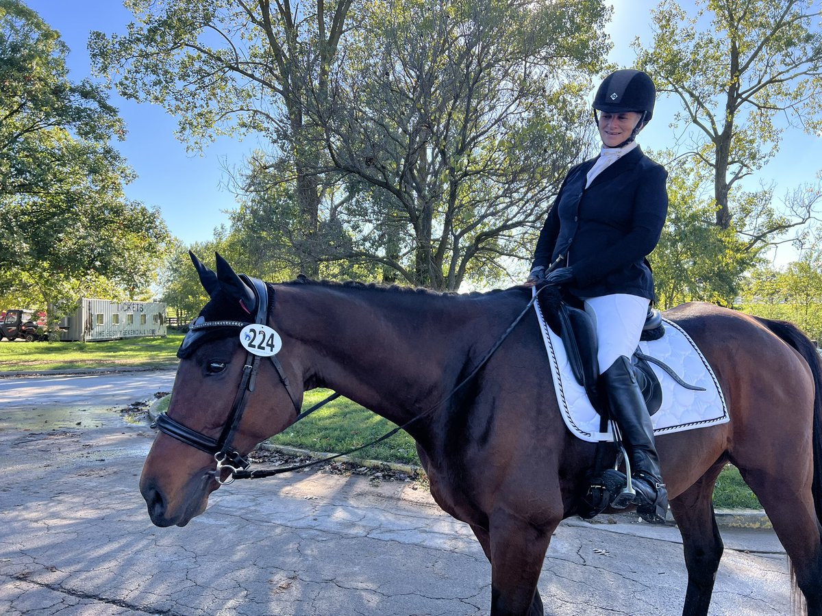 Joe Nevills (@joe_nevills) on Twitter photo Here’s stakes-placed Kingsville, who ran 85 times during his on-track career and is competing in Eventing and Show Jumping at the <a href="/RRP_TBMakeover/">Retired Racehorse Project</a> Here’s stakes-placed Kingsville, who ran 85 times during his on-track career and is competing in Eventing and Show Jumping at the <a href="/RRP_TBMakeover/">Retired Racehorse Project</a>