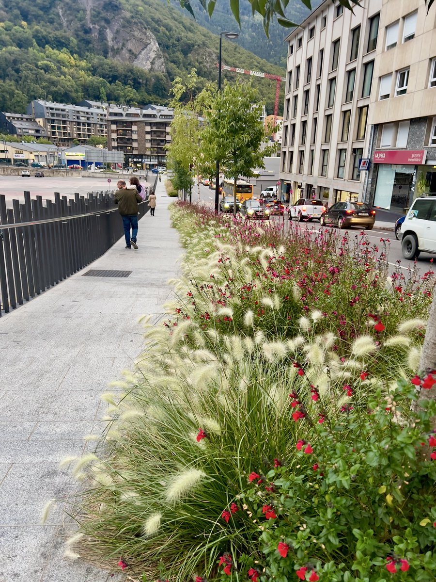 No sé qui és el responsable d'aquesta meravella. Cada vegada que passo per aquí ho penso i m'agradaria felicitar-lo personalment ...