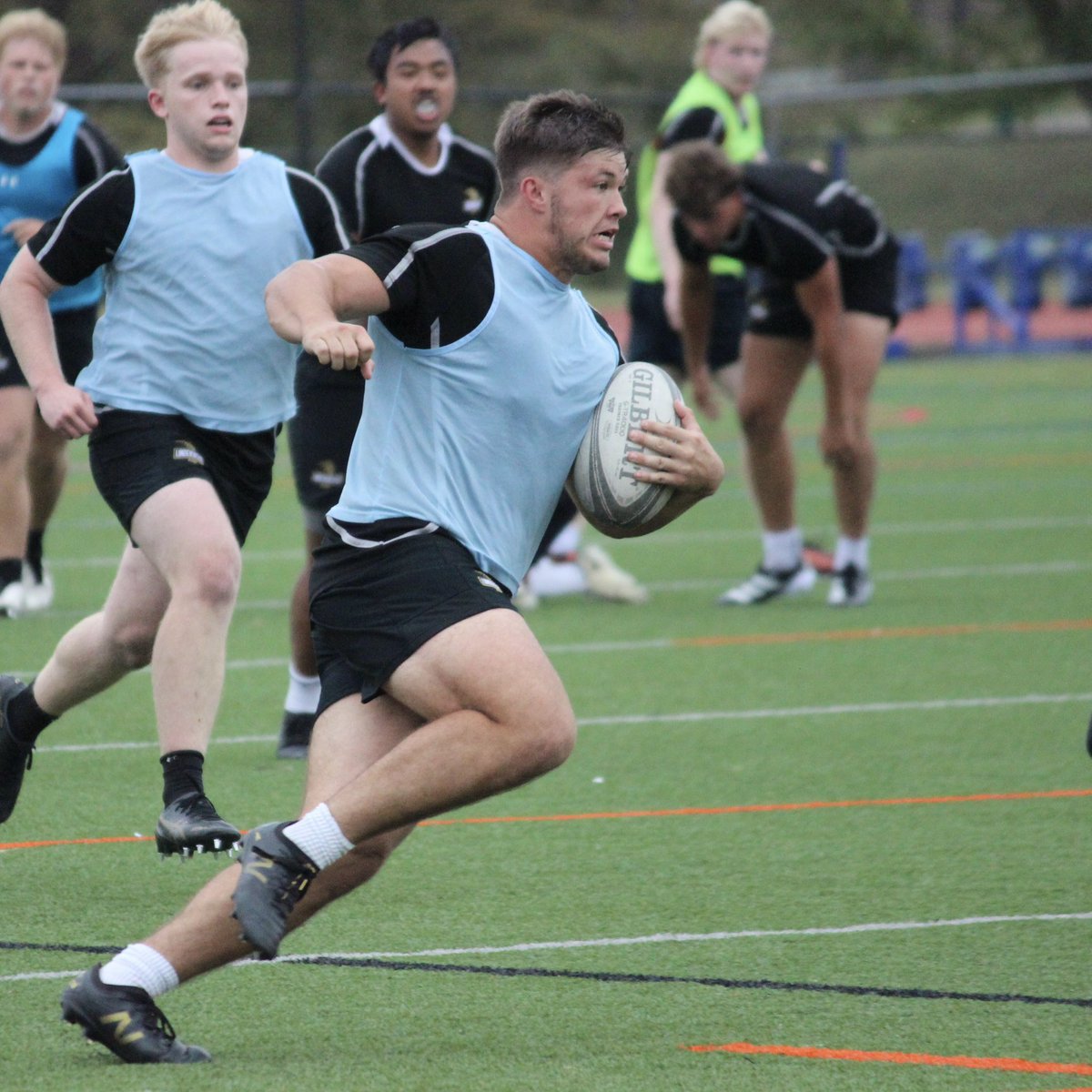 Lindenwood Rugby tweet media