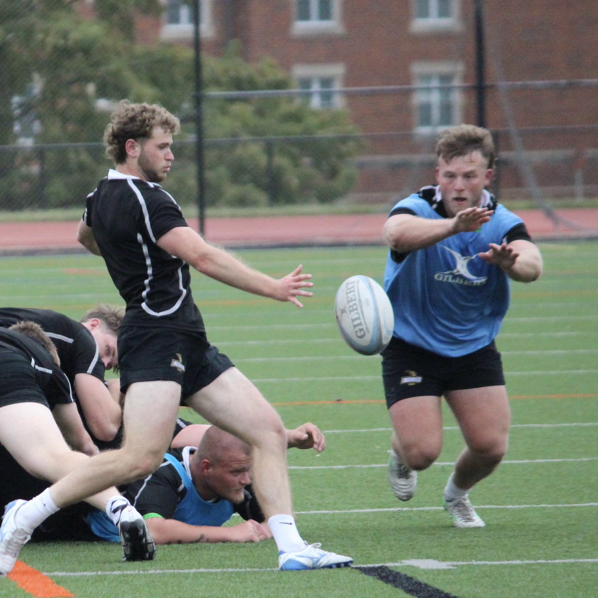 Lindenwood Rugby tweet media