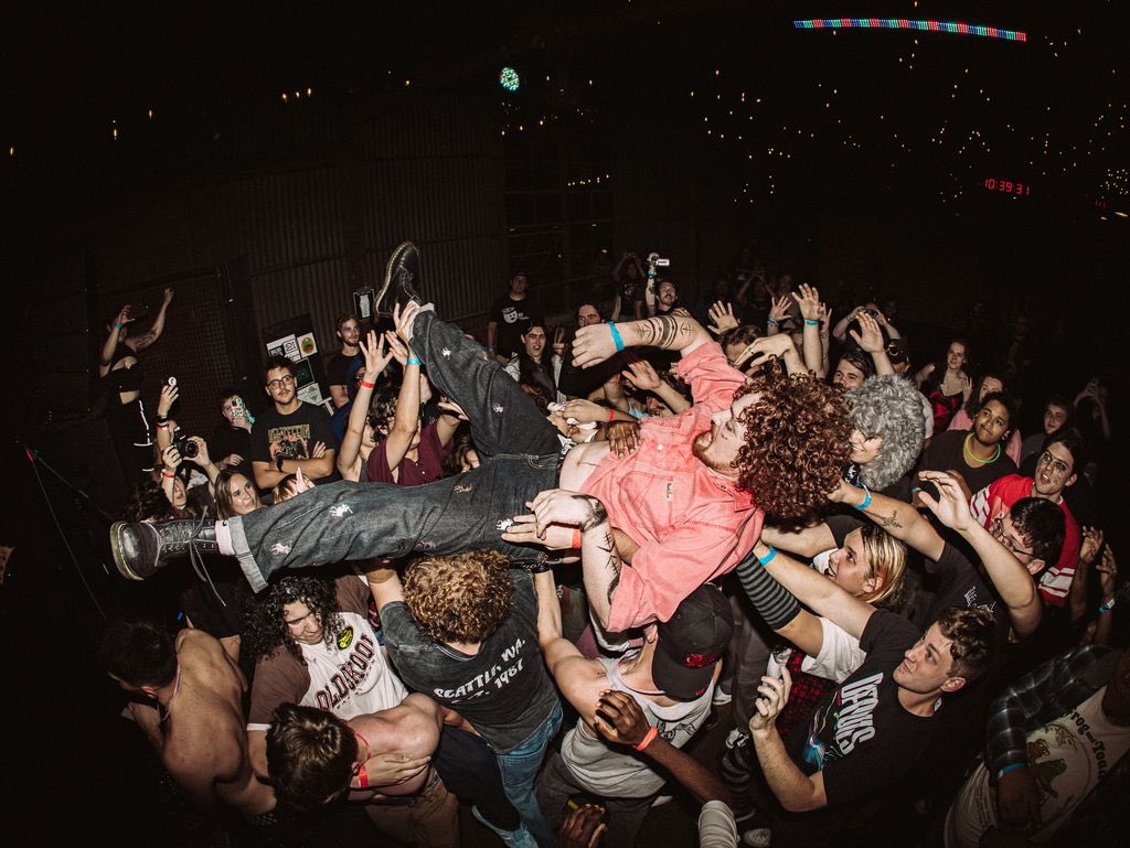 LoogieTanuki tweet media