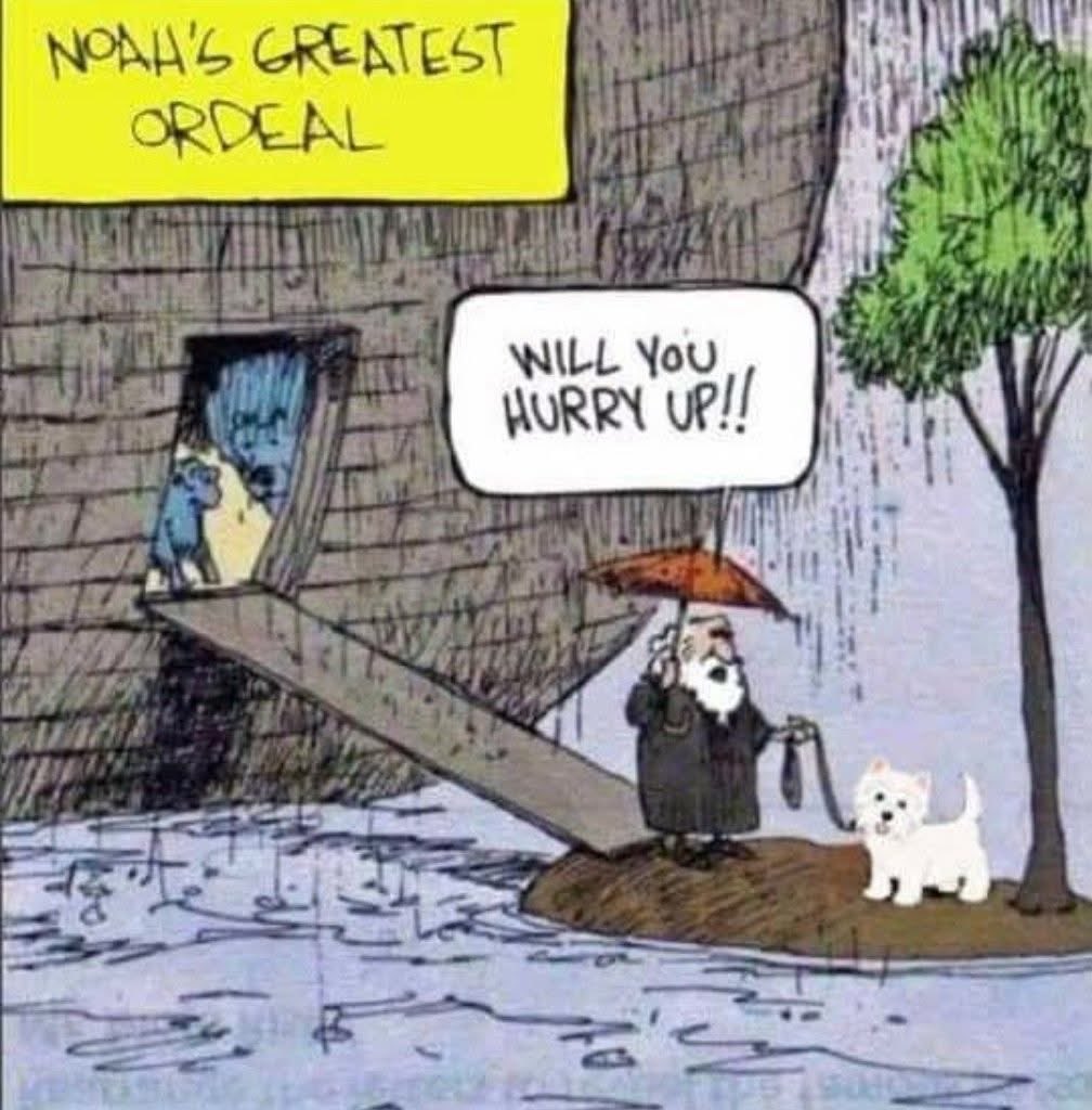 Bobby Watson RIP Busby Watson, Archie, Winston ❤️ tweet media