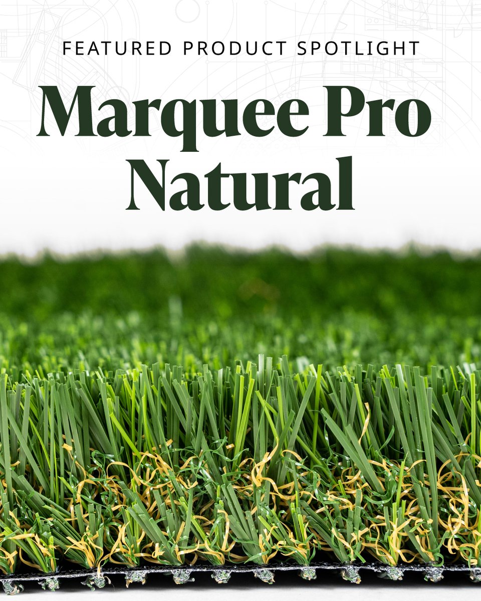 Meet Marquee Pro Natural 🌿
Realistic look. Built-to-last performance.
No watering, no mowing — just year-round perfection.
Explore the full TigerTurf lineup 👉 loom.ly/QQRZ8KU

#SGW #ProductSpotlight #TigerTurf #SyntheticGrass #MarqueeProNatural #ArtificialTurf