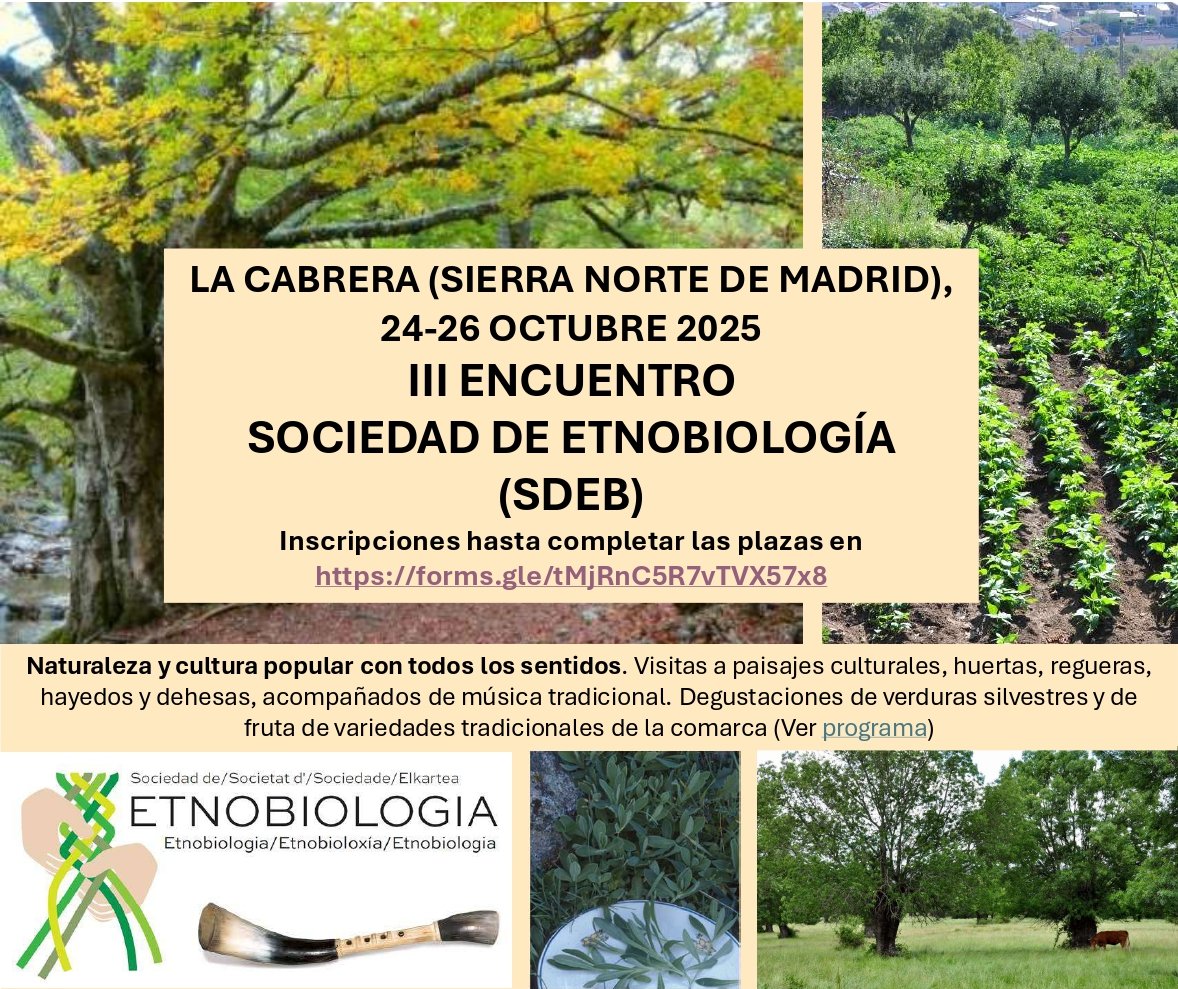 SdEB2021's tweet photo. Entre el 24 y el 26 de octubre vamos a celebrar el Tercer Encuentro de la SdEB en la Sierra Norte de Madrid que  organiza Laura Aceituno. Os adjuntamos el cartel y el enlace al programa definitivo https://t.co/VqqxbvNQmV
