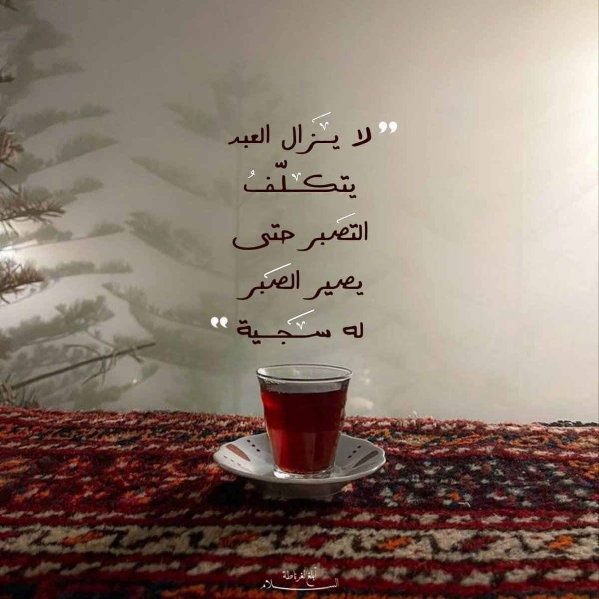 9410zain's tweet photo. https://t.co/DBiEkchNdl