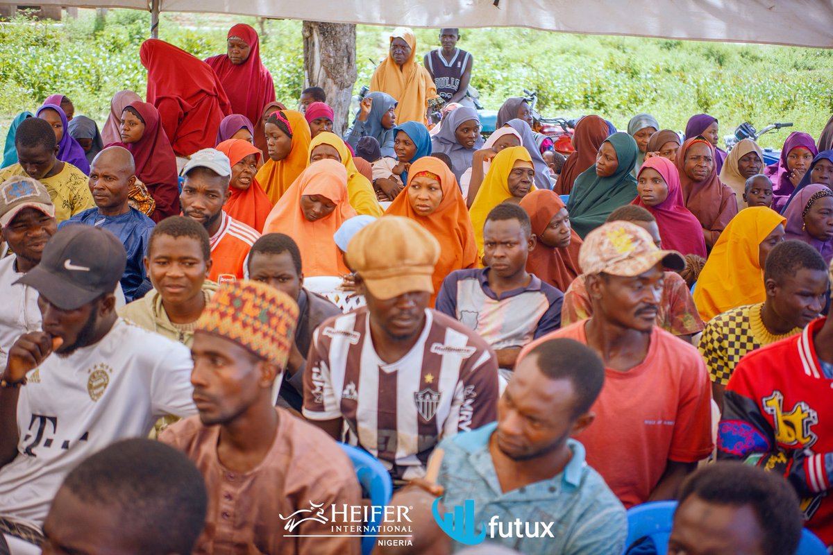 FutuXinfo's tweet photo. 🍅🍅🍅🍅

The "Building Resilience and Income of Tomato Smallholder Farmers" initiative implemented by @HeiferNigeria and FutuX Agri-consult Limited isn't just changing the way tomatoes are produced but strengthening the livelihoods of many farmers!

Through this initiative, each farmer has embarked on a transformative journey, and we are thrilled to have provided the necessary support every step of the way.

📣 This weekend, we showcase the bountiful result of the meticulous implementation of good Agricultural Practices by each Farmer. Stay tuned as we share details from the Mega Field Day. Don’t miss out!💫

#TomatoFarmers #AgriculturalTraining #SmallholderFarmers
#HeiferNigeria #FutuX